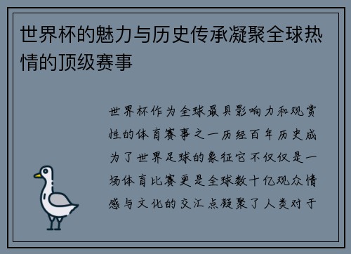 世界杯的魅力与历史传承凝聚全球热情的顶级赛事